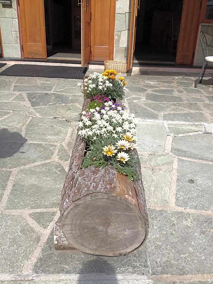 Albergo Soldanella