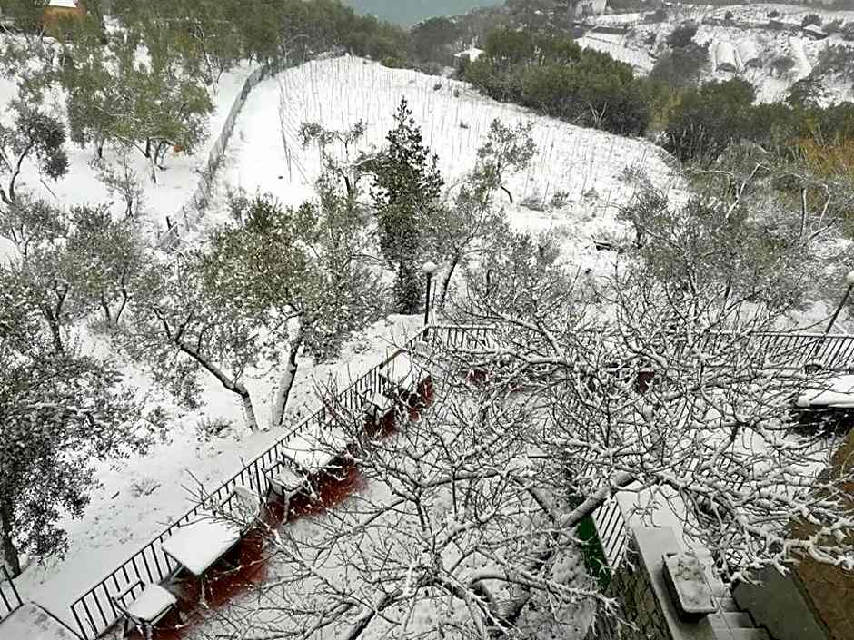 Perla del Levante Hostel