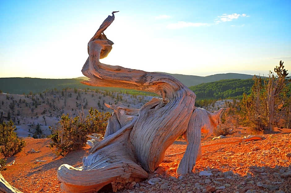 Iron Springs Luxury Lodge & Spa