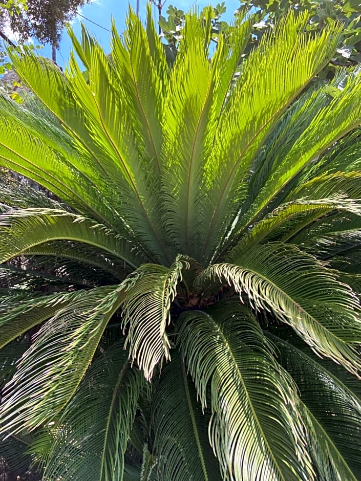 Nelinda Waterfront Accommodation