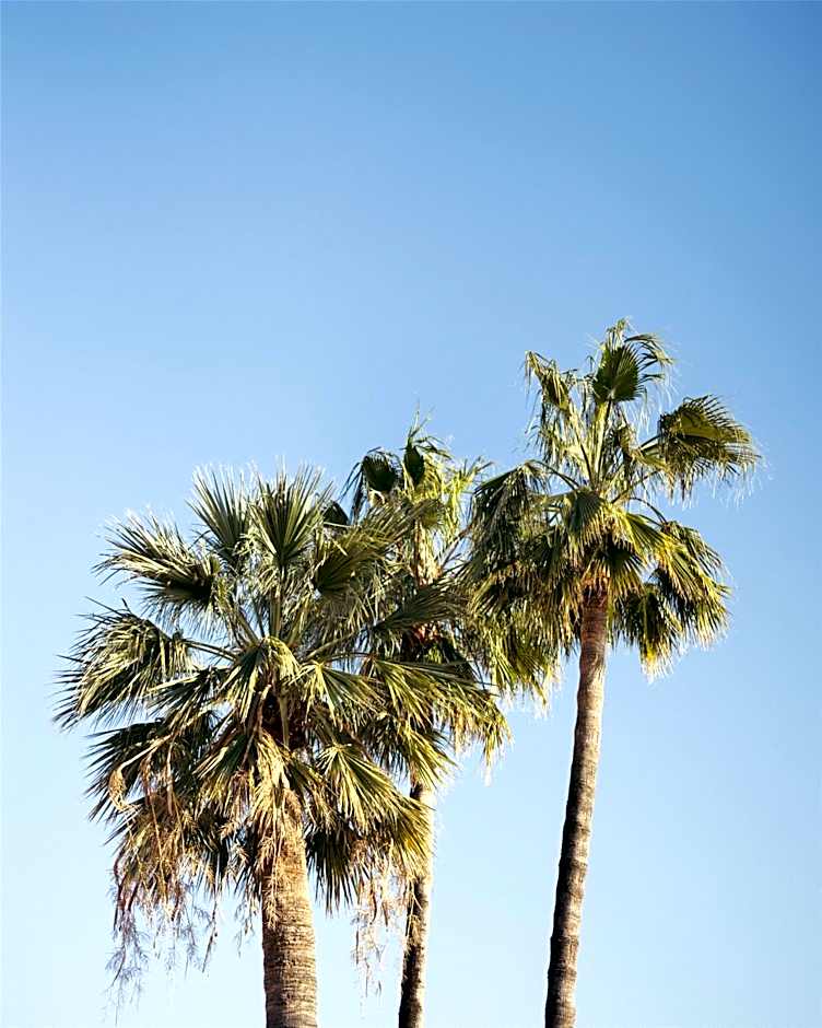 Hotel Palais de la Mediterranee - The Unbound Collection by Hyatt