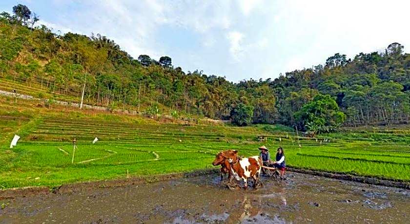 Grand Whiz Hotel Trawas