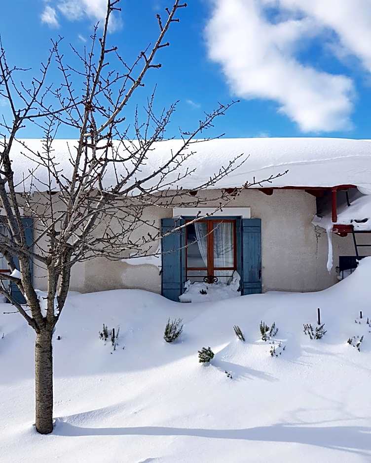 Helicon Muses Friendly Mountain B&B Guesthouse