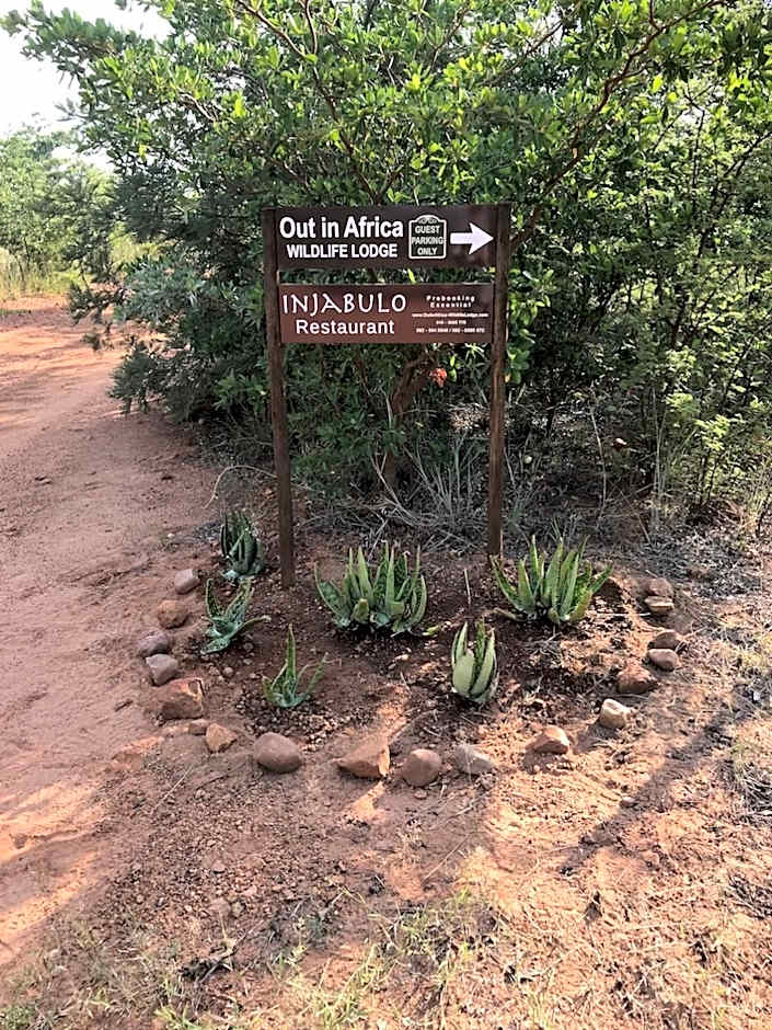 Out in Africa Wildlife Lodge
