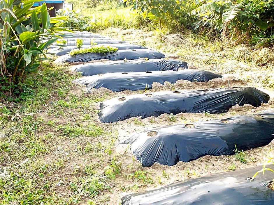 AsobiBASE Yamabare-House