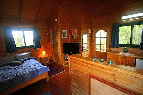 Blue Cabin with Balcony