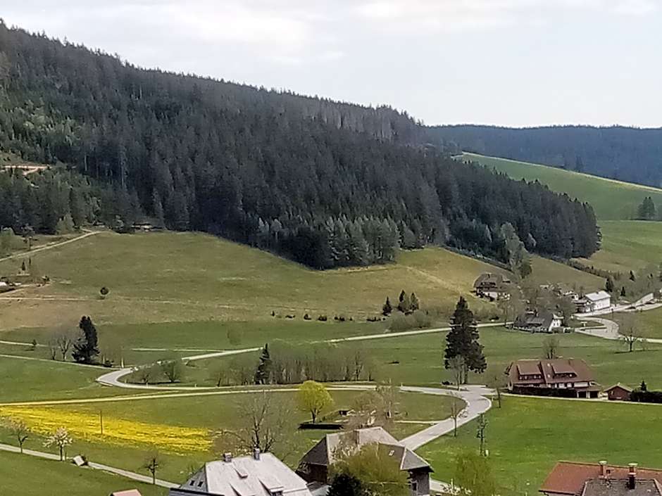 ZUR TRAUBE Schwarzwaldhotel & Restaurant am Titisee
