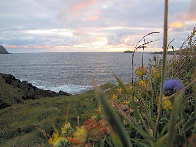 An Dooneen, The Hurley Farm B&B