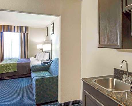 1 King Bed, Suite, Nonsmoking