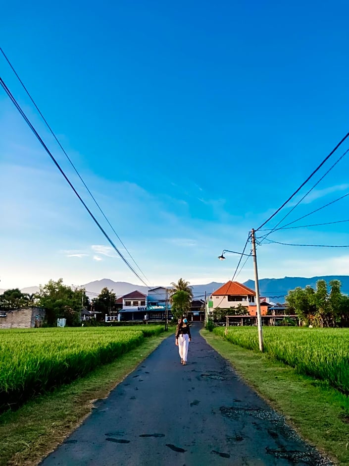 Hotel Mandari