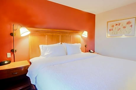  1 KING BED STUDIO SUITE NONSMOKING - FREE WI-FI/32 IN HDTV/ - HOT BREAKFAST INCLUDED -