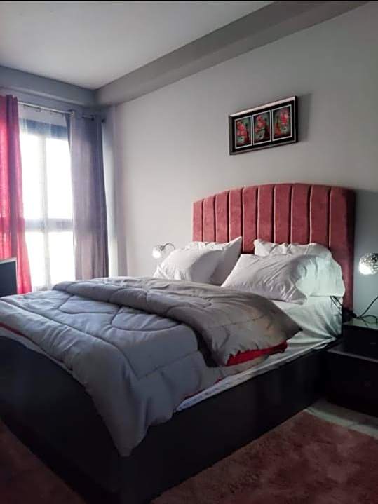 Photo 1 of 28 of One Bedroom Apartment - Porto Said