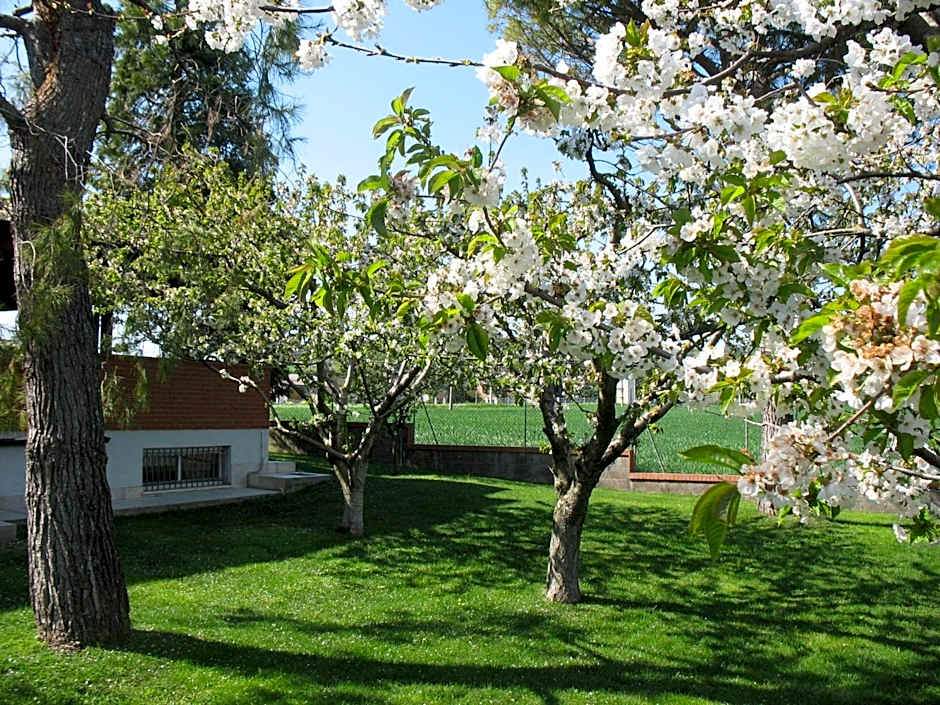 Bed & Breakfast Bompadre