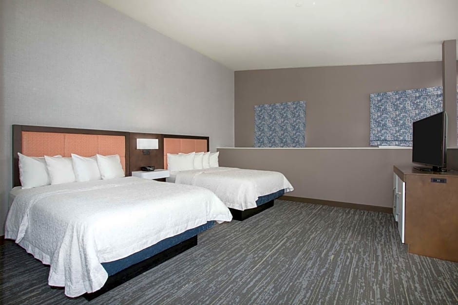 Hampton Inn By Hilton & Suites Denver-Downtown, Co