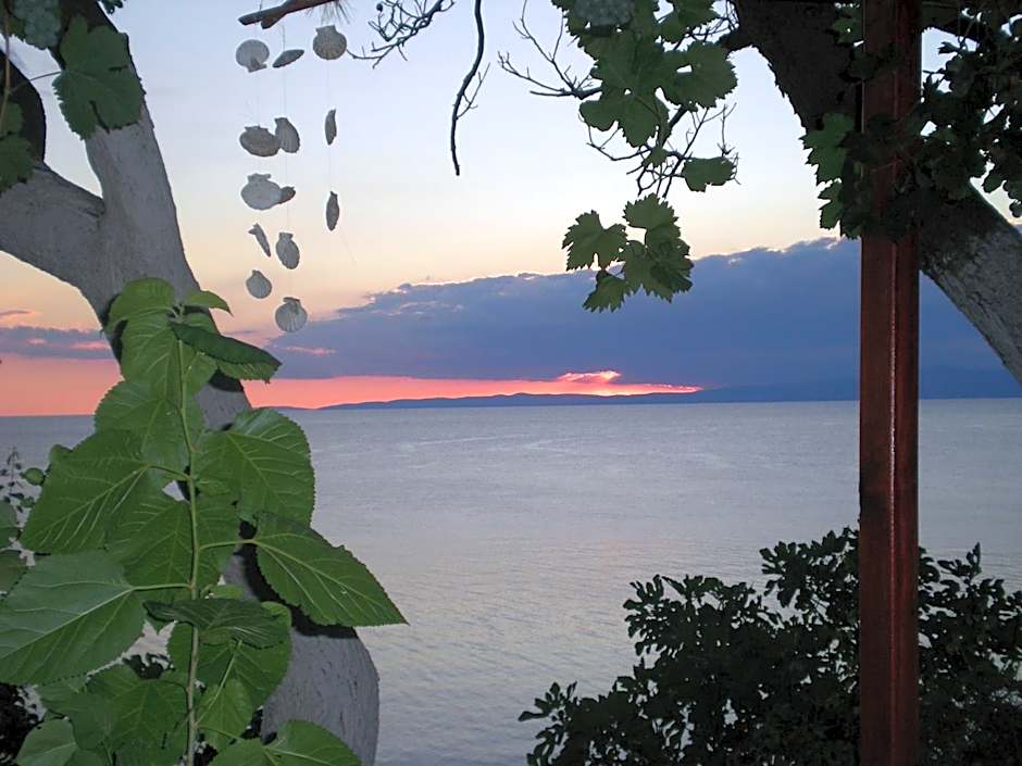 Hotel Mola