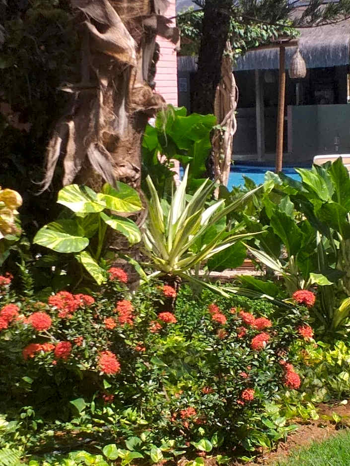 Triplex Tulipa - Praia da Pipa Centro