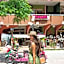 Hotel Flamingo