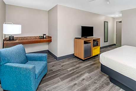 Deluxe King Suite