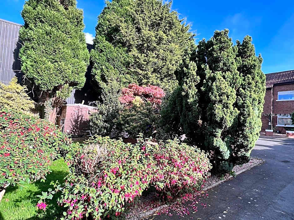 Ashfield Bed & Breakfast