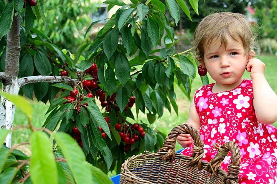 Gut Hügle Erlebnishof & Spa