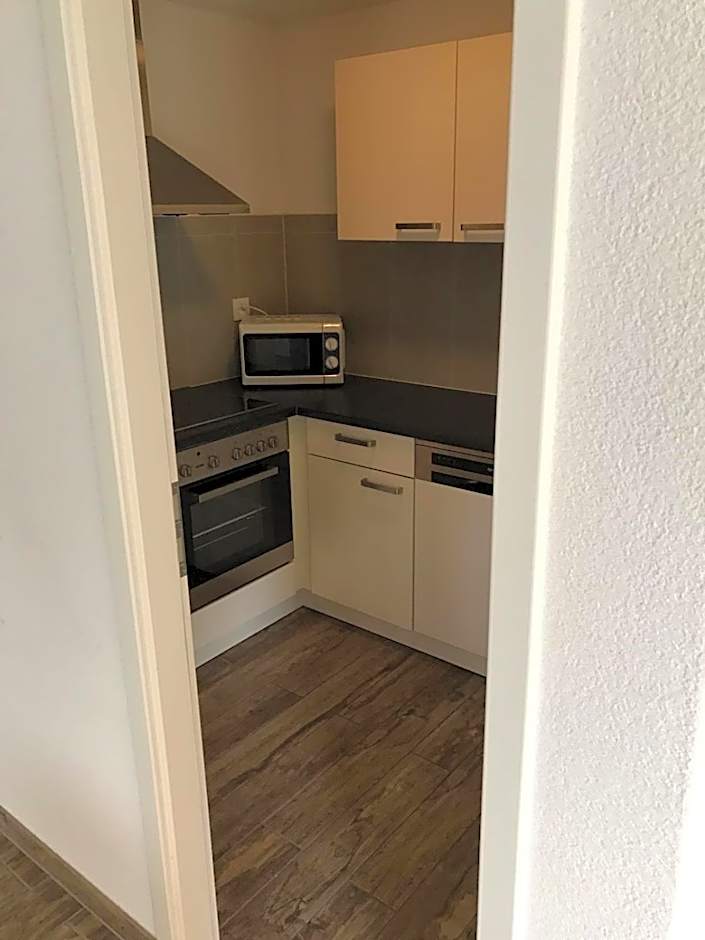 Swiss Chalet Holidays Ringgenberg