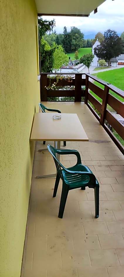 Austria Traveller Hotel Lenzing