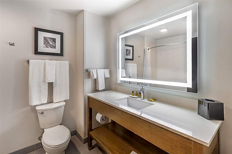 Best Western Plus Rapid City Rushmore