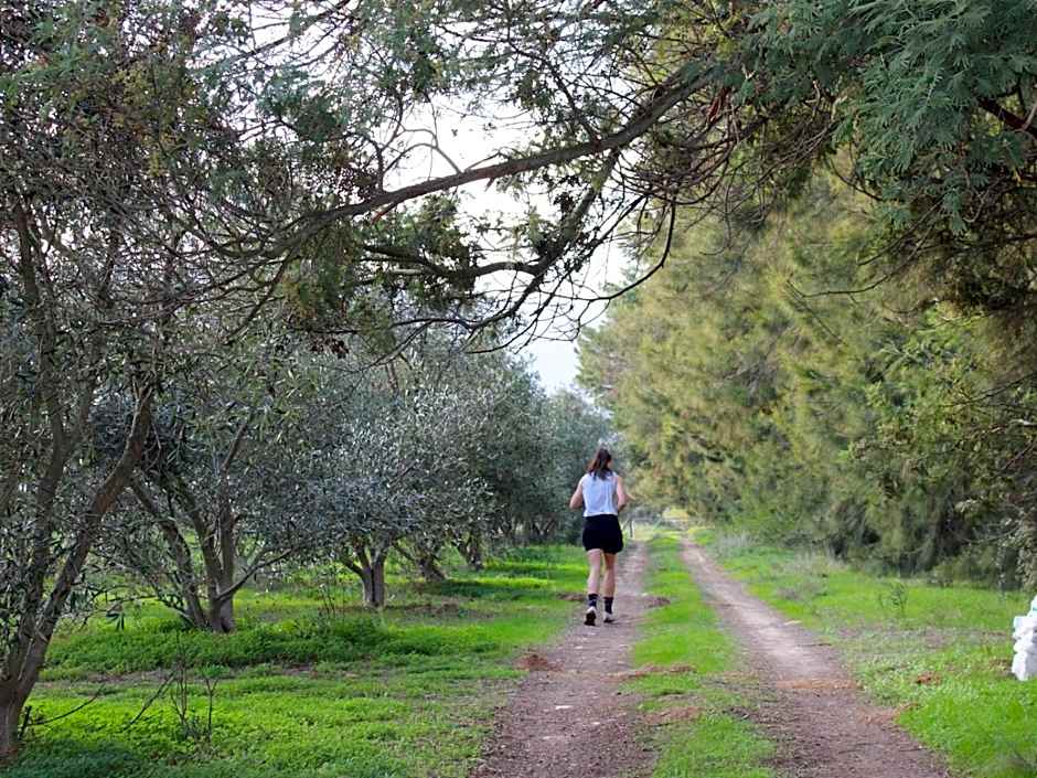 Duikersdrift Winelands Country Escape