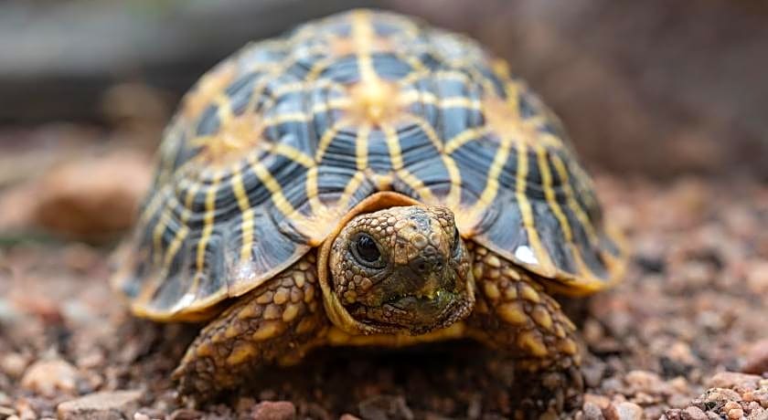 Bartholomeus Klip Farmhouse