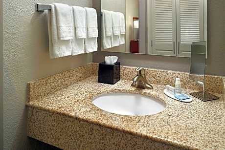 Suite, 1 King, Sofa bed