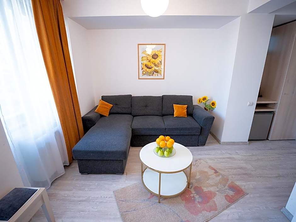 Hotel Cantemir