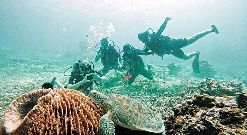 Diversia Diving Club and Bungalows