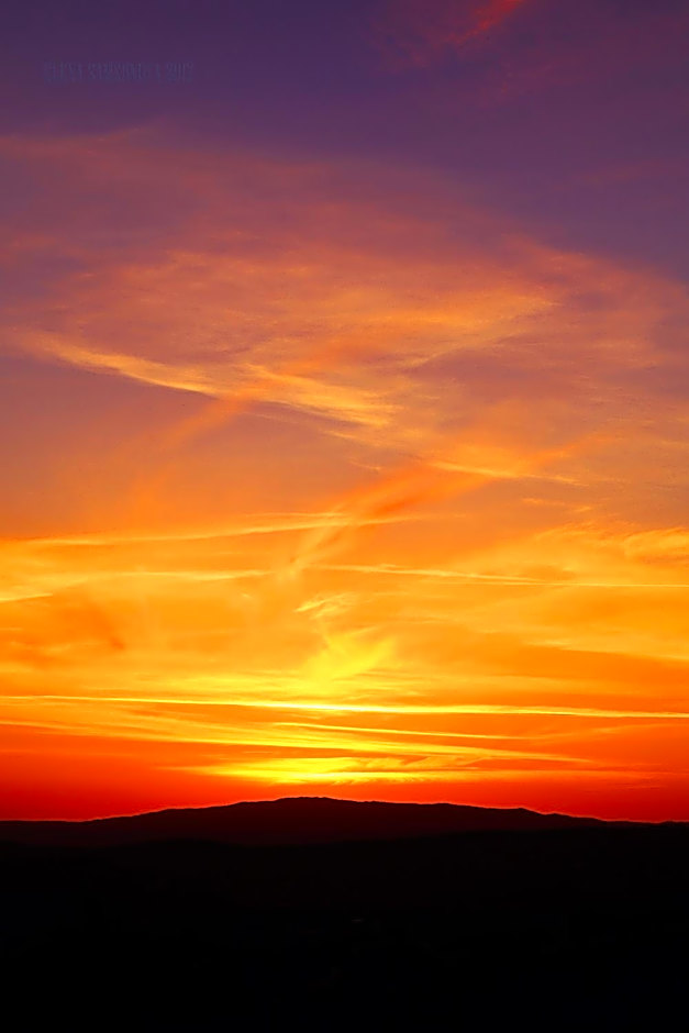 Villa Quinta da Violeta