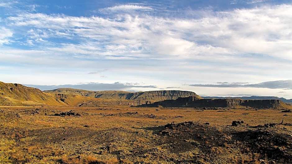 Dalshöfdi Guesthouse