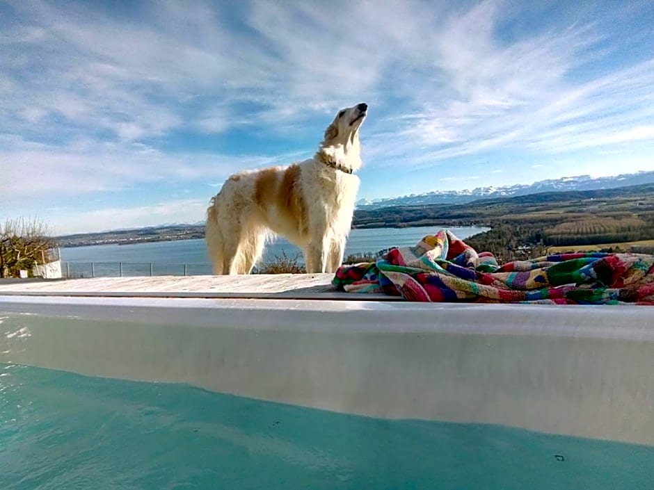 Swiss Borzoi House