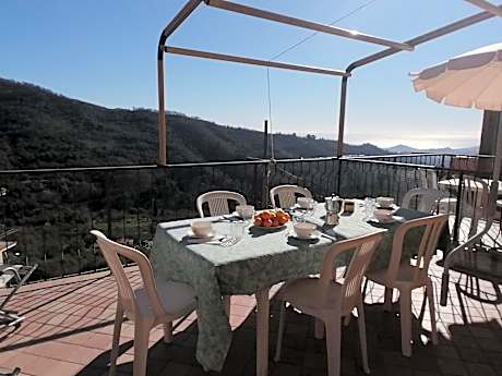 Agriturismo IL POGGIO DI VASIA CITR00864-AGR-0001