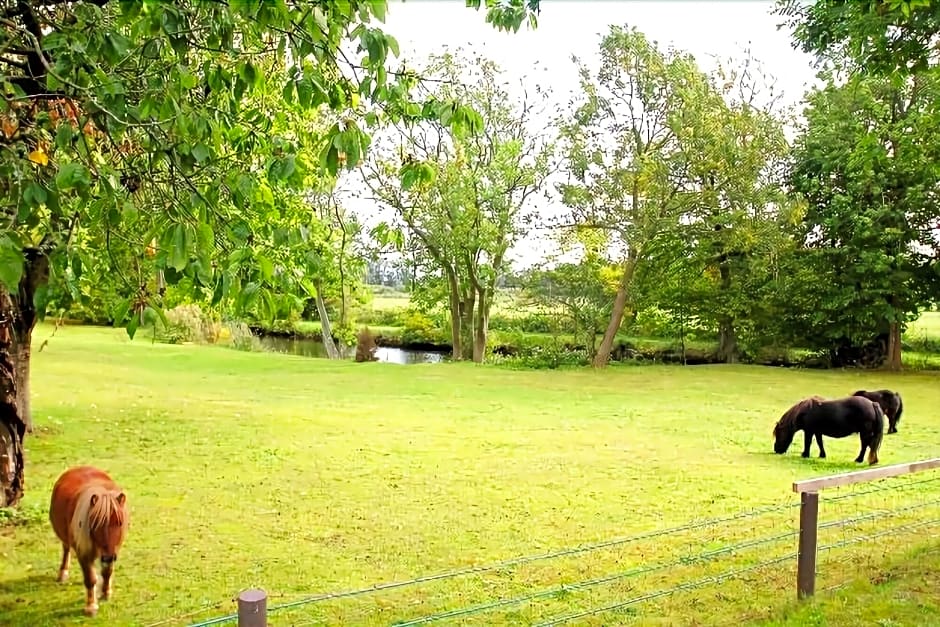 Reethäuser auf Rügen