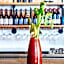 Plough Hotel