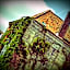 Hostel Lybeer Bruges