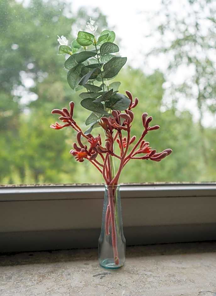 Hotel Haus Hohenstein