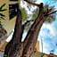 Casa Nare Adults Only