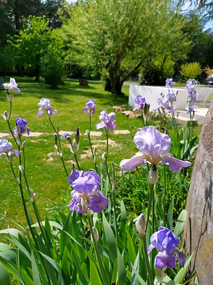 Le moulin de La Retardière