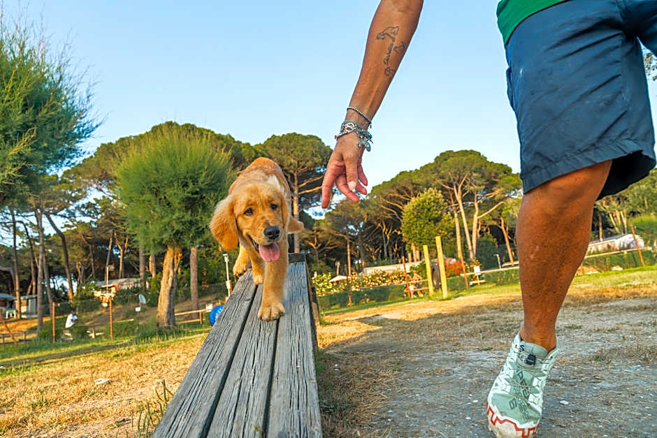 Club del Sole Spina Family Collection