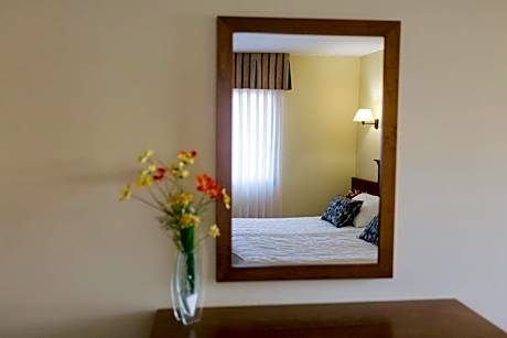 Double or Twin Room with Mountain View