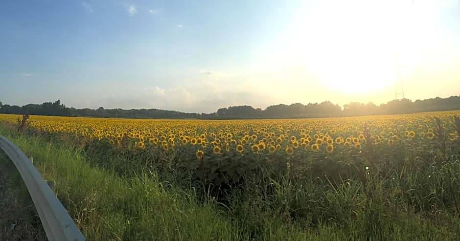 Bed & Breakfast Case Osti