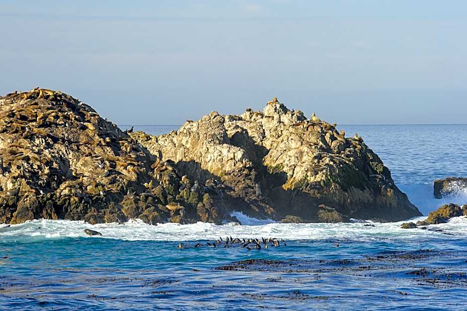 Inn at Spanish Bay