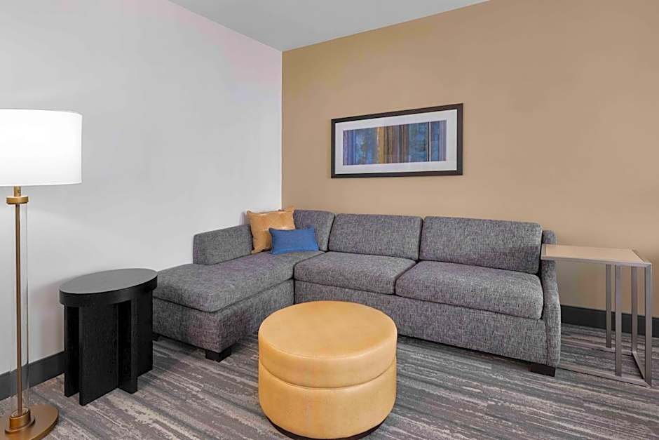Hampton Inn By Hilton & Suites Denver Downtown Convention Center