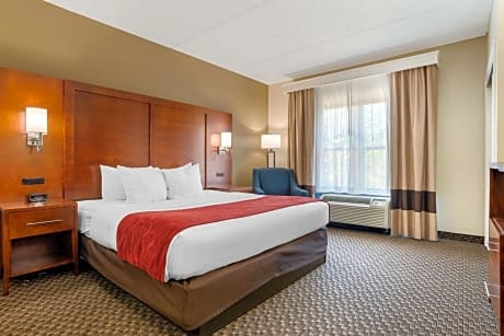 Comfort Suites Tallahassee Capitol - University Area