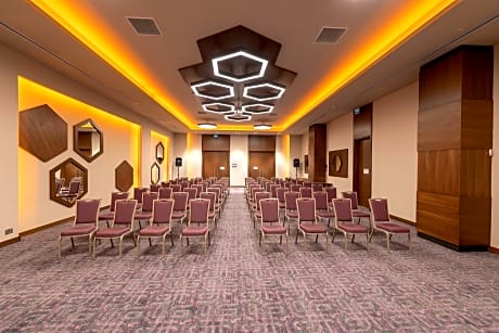 Holiday Inn Kayseri - Duvenonu By IHG