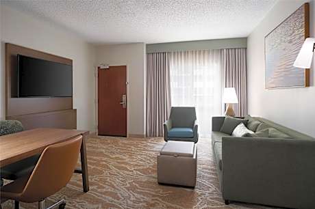 1 King Suite Premium Room Non-Smoking
